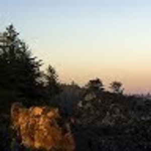 Meet your Posher, Deanna